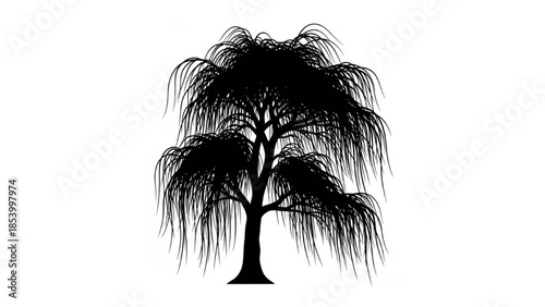 Black Willow Tree Silhouette Vector Showing Straight Drooping Windy Bend and Trimmed Forms
