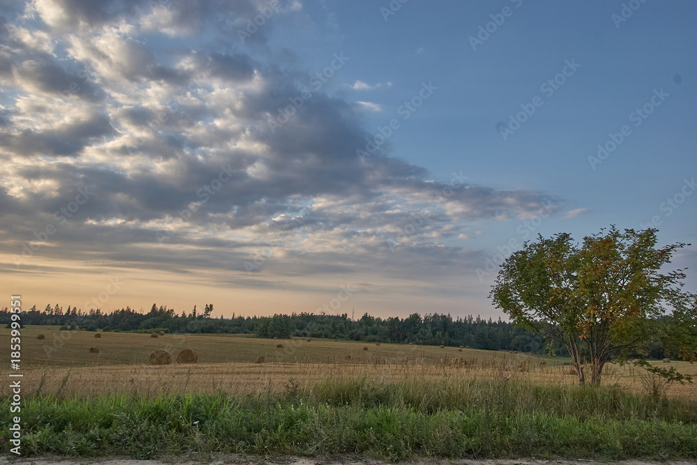 Obraz premium Rural Field with Hay Bales and Dramatic Evening Sky