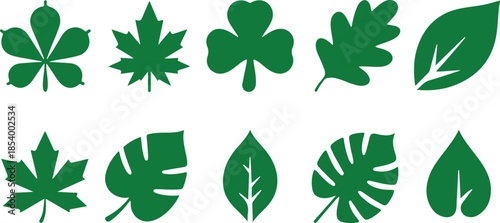 Set of ten vector green leaves including maple oak chestnut monstera isolated on transparent background