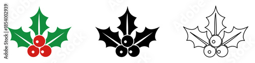 Christmas holly icon. Pictogram of leaves and berries: color, black silhouette, and outline lines. Three style variations. Vector illustration.