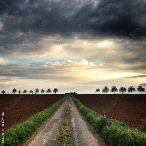 Straight Road through a rural landscape, Vouille, Vienne, Nouvelle-Aquitaine, France