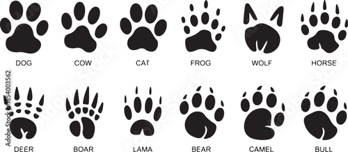 Animal paw prints collection vector illustration