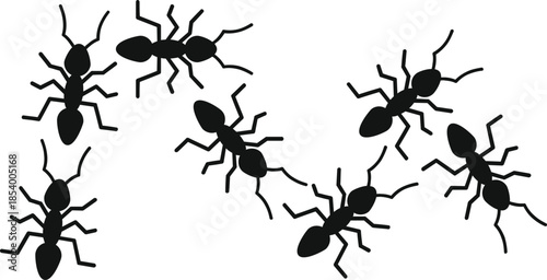 Black ant silhouettes forming a winding trail, symbolizing teamwork and following a path