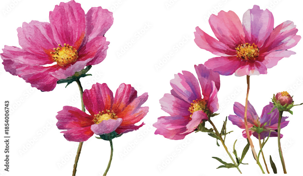 Obraz premium set of flowers isolated on white