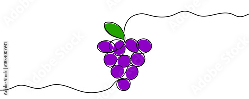 A bunch of grapes with a leaf, filled with purple and green color. Drawing in one line art style with editable black stroke on a white background. Vector illustration