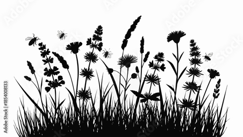 Silhouette of Wildflowers and Grasses.