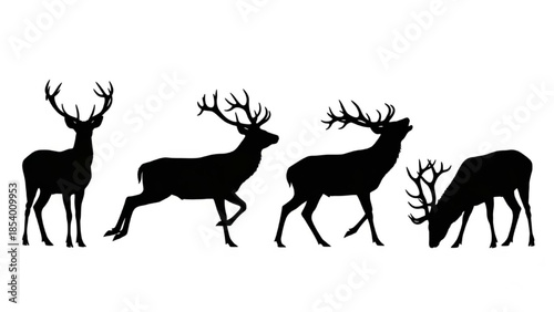 Black Stag Silhouette Vector Showing Standing Running Calling and Grazing Poses
