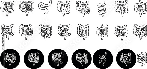 Human digestive system and intestine line icon set featuring stomach, colon, gut anatomy, medical symbols, healthcare education and anatomy illustration elements