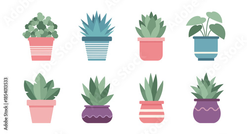 Collection of Potted Plants with Various Leaves and Pots