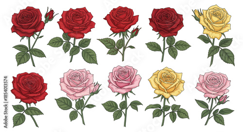 Collection of Realistic and Vibrant Roses in Various Colors