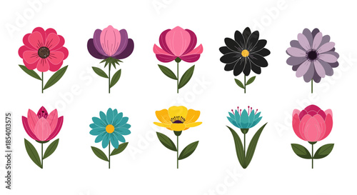 A vibrant collection of ten diverse stylized flowers, showcasing a spectrum of colors and petal designs