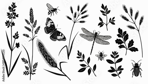 Black and White Insects and Plants Illustration.