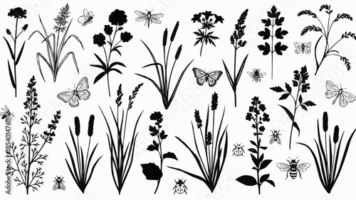 Black and White Illustration of Wildflowers and Insects.