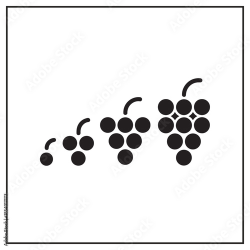 Elegant Wine & Harvest Collection