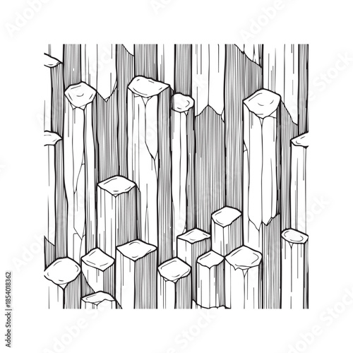 Abstract vertical line art pattern resembling basalt rock columns or tree bark. Black and white vector illustration with ink hatching texture, suitable for wallpaper, background, or fabric design.
