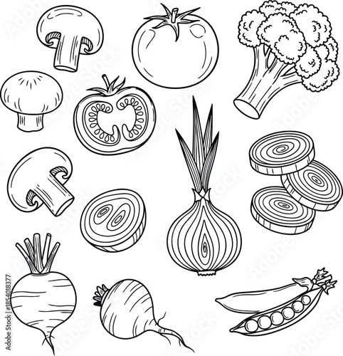 Variety of fresh vegetables for healthy eating and cooking