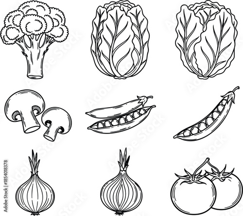 Fresh vegetables illustrations for healthy eating and cooking