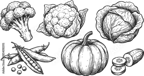 Variety of fresh vegetables including broccoli, cauliflower, lettuce, peas, pumpkin, and zucchini