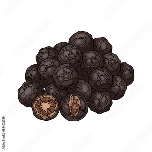 Vector illustration of black peppercorns isolated on white background