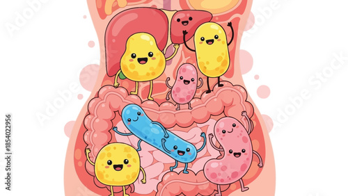 Cartoon illustration of human digestive system with smiling bacteria.