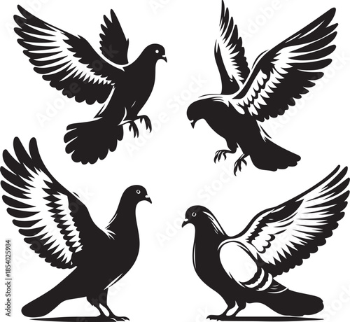 Pigeon icon silhouette vector with white background