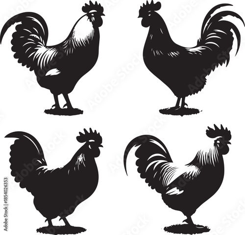 Hen Icon Silhouette Vector In White Background 