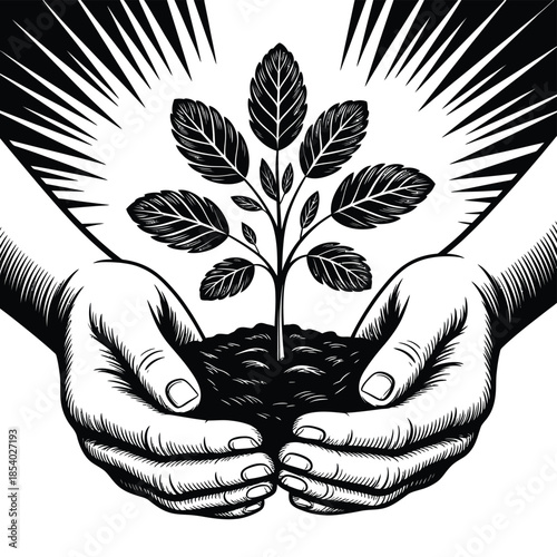 Hands cradling a seedling with radiating light symbolizing growth and care