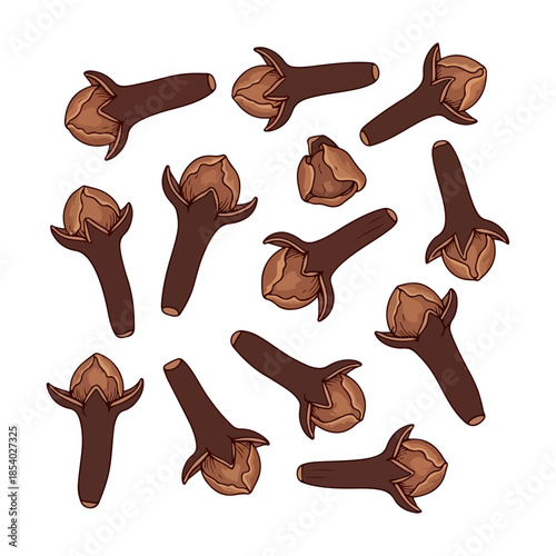 Vector illustration of dried cloves isolated on white background