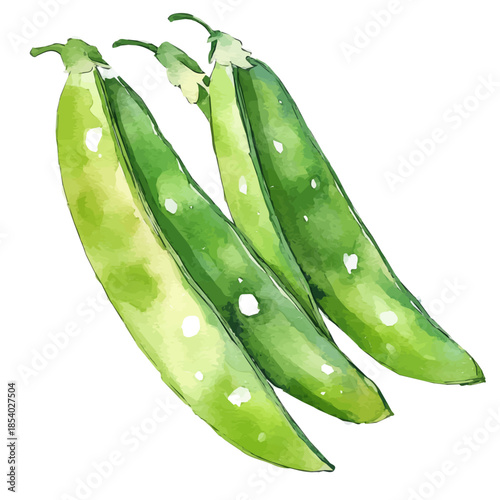 Watercolor design, with minimal yet artistic elements for creative designs. hand-drawn paint, A beautiful painting of snow_peas set, EPS format, isolated on a white background