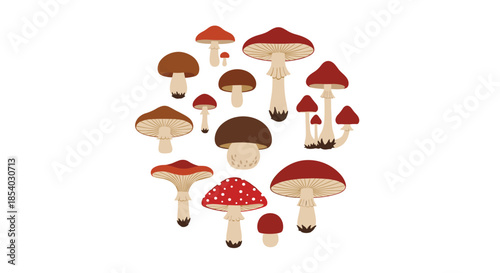 Circular arrangement of diverse mushroom species in earth tones and red colors with different cap shapes and sizes on white.