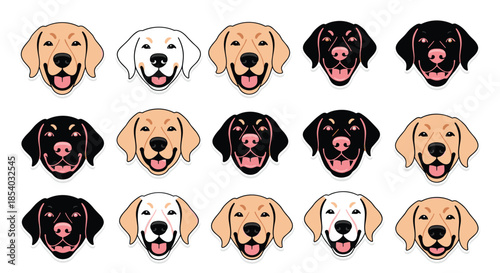 Cheerful collection of Labrador Retriever dog heads in various colors including yellow, black, and white, all with happy, smiling expressions.
