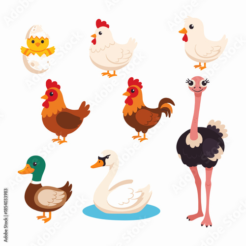 Cute cartoon birds and farm fowl flat vector set with chick duck hen rooster swan and ostrich