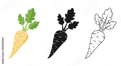 Three carrot illustrations showing color solid black and outline styles