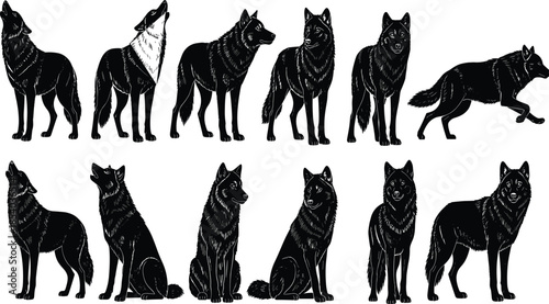 Wolf silhouette collection in multiple poses, detailed wild animal vector illustration set isolated on white background for nature and wildlife design