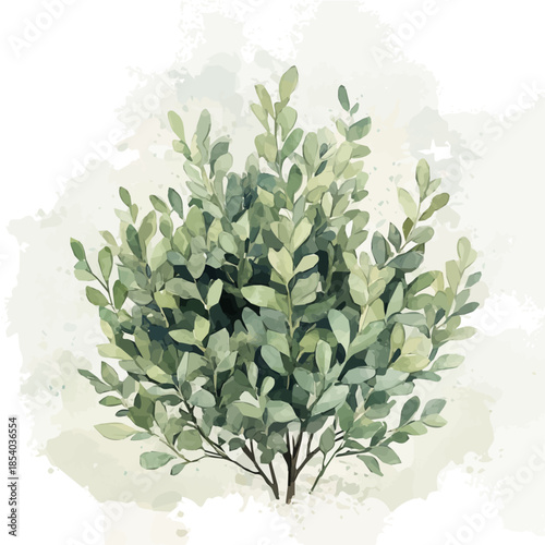 A vectorized, Hand-painted style, vector set available in EPS An Elegant watercolor painting design collection_Watercolor_style_painting_of_a_boxwood_shrub
