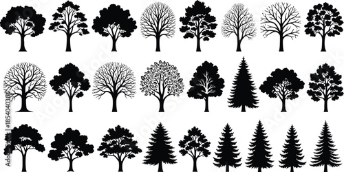 Gave me a title about this photo 'must have 20 word' for adobe stock with SEO maintain with comma

Gave me a keyword, 15 a word, 15 two word, 15 three word about this photo for adobe stock with SEO ma