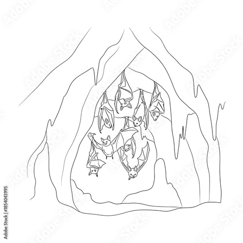 Line art illustration of bats hanging in a cave, spooky Halloween drawing