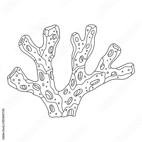 Detailed line art illustration featuring stylized coral branch element