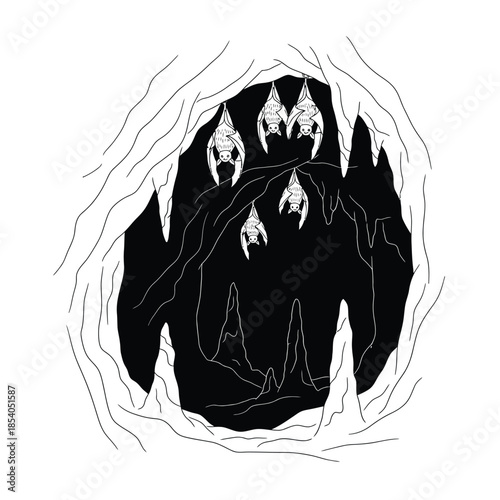 Monochrome cave scene with bats hanging upside down in a dark cavern