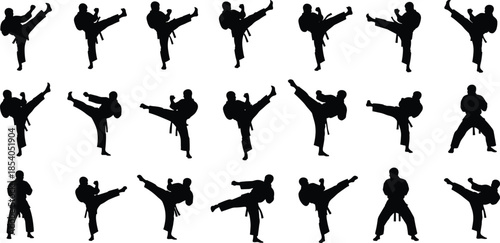 Martial arts silhouettes set, karate and taekwondo kicking poses, fighting stances collection, sport action, black vector icons