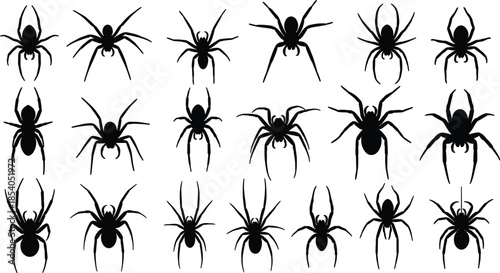 Spider silhouettes set, black spider icons collection, creepy insect shapes, Halloween horror design elements, vector illustration isolated