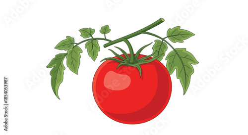 A vibrant red tomato with lush green leaves on a slender stem