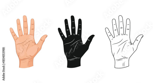 Illustrations of a human hand in varying skin tones and styles