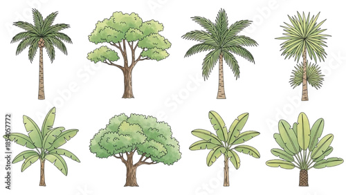 A collection of various palm and tropical trees illustrated in a digital artwork viewed from a straight-on perspective.