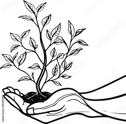 Hand holding the Plant: Capturing the essence of nurture and growth, a single hand tenderly cradles a budding plant, symbolizing care, sustainability, and the delicate balance of life.