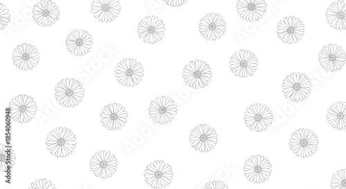 Seamless pattern of delicate thin line art daisies with fine petals scattered randomly across a clean white background.