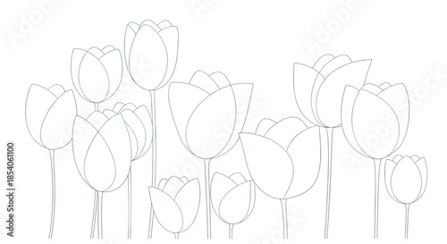 Minimalist horizontal border of stylized tulip flowers in fine grey line art style on a clean white background for stationary.