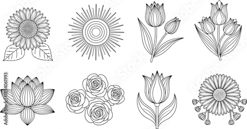 Detailed floral line art set featuring sunflower lotus rose tulip botanical outlines black vector illustrations for elegant decoration designs