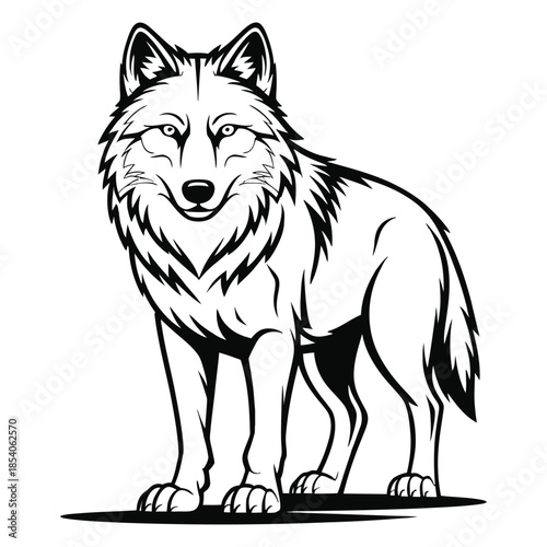 vector illustration of wolf