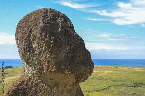 Moai statue overlooking lush Easter Island landscape under clear sky